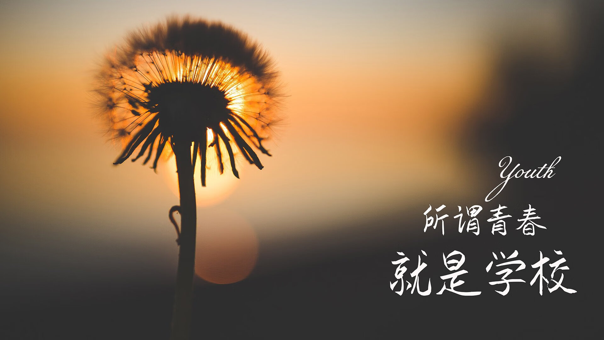 逆境战士：那些用行动书写奇迹的战队，逆境逆战逆行作文