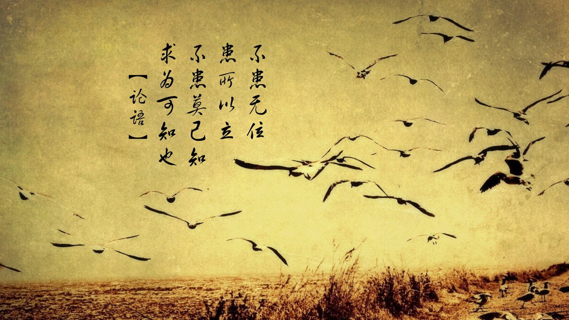 利物浦主场不敌南安普顿，遭遇败绩，利物浦对南安普顿视频直播