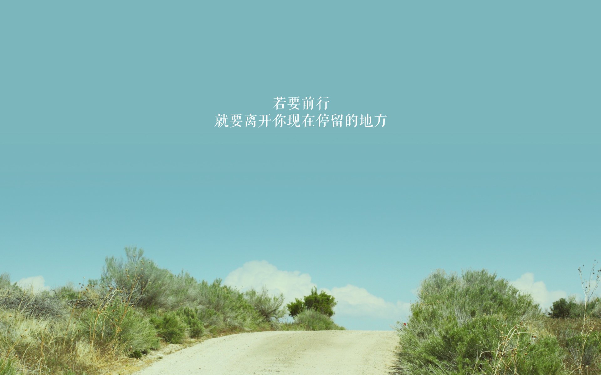 摩纳哥主场力克波尔多，赢得胜利，摩纳哥vs波尔图
