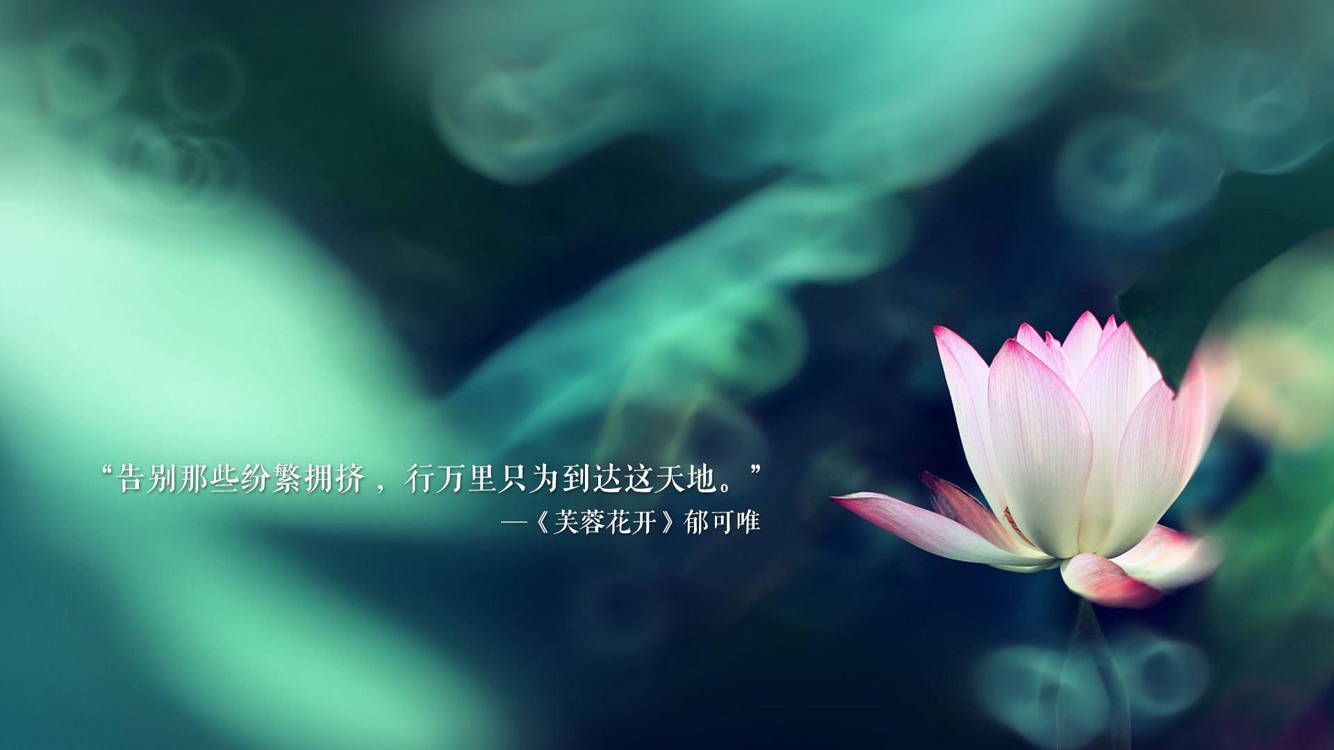 青岛黄海中场被罚下场，影响球队比赛节奏，青岛黄海足球队赛程