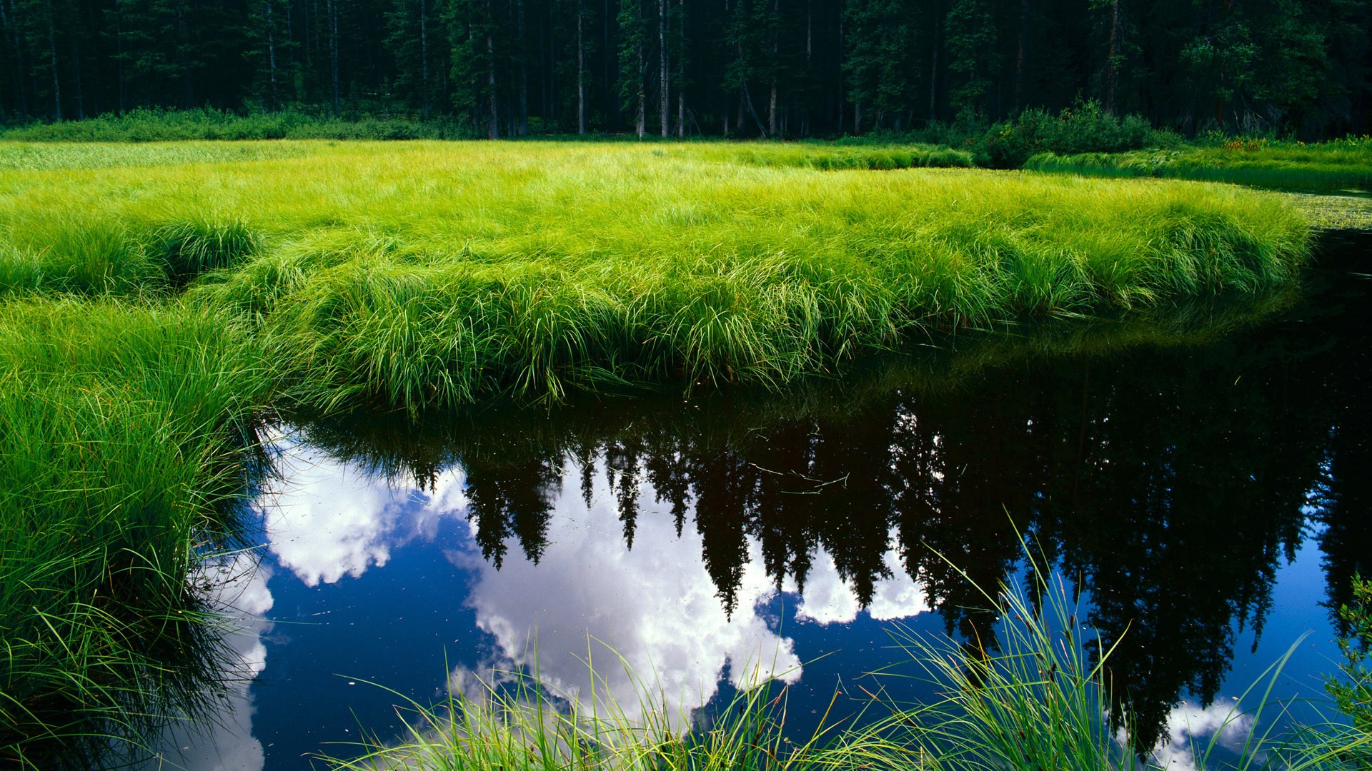 NBA球队三分战术依赖程度与胜负关系探讨，nba球员三分