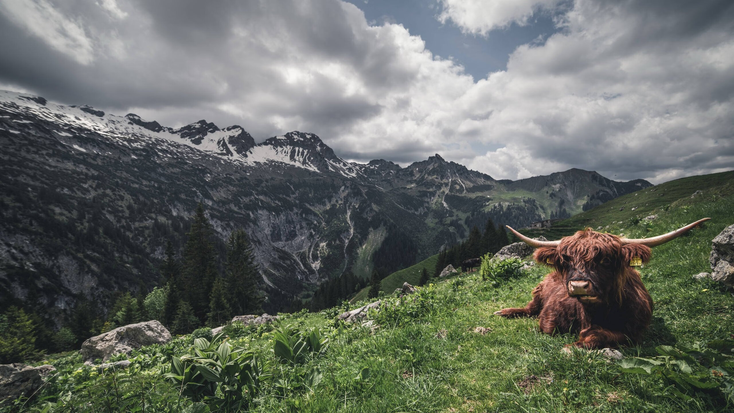 中超球队中后场推进模式统计，中超边后卫