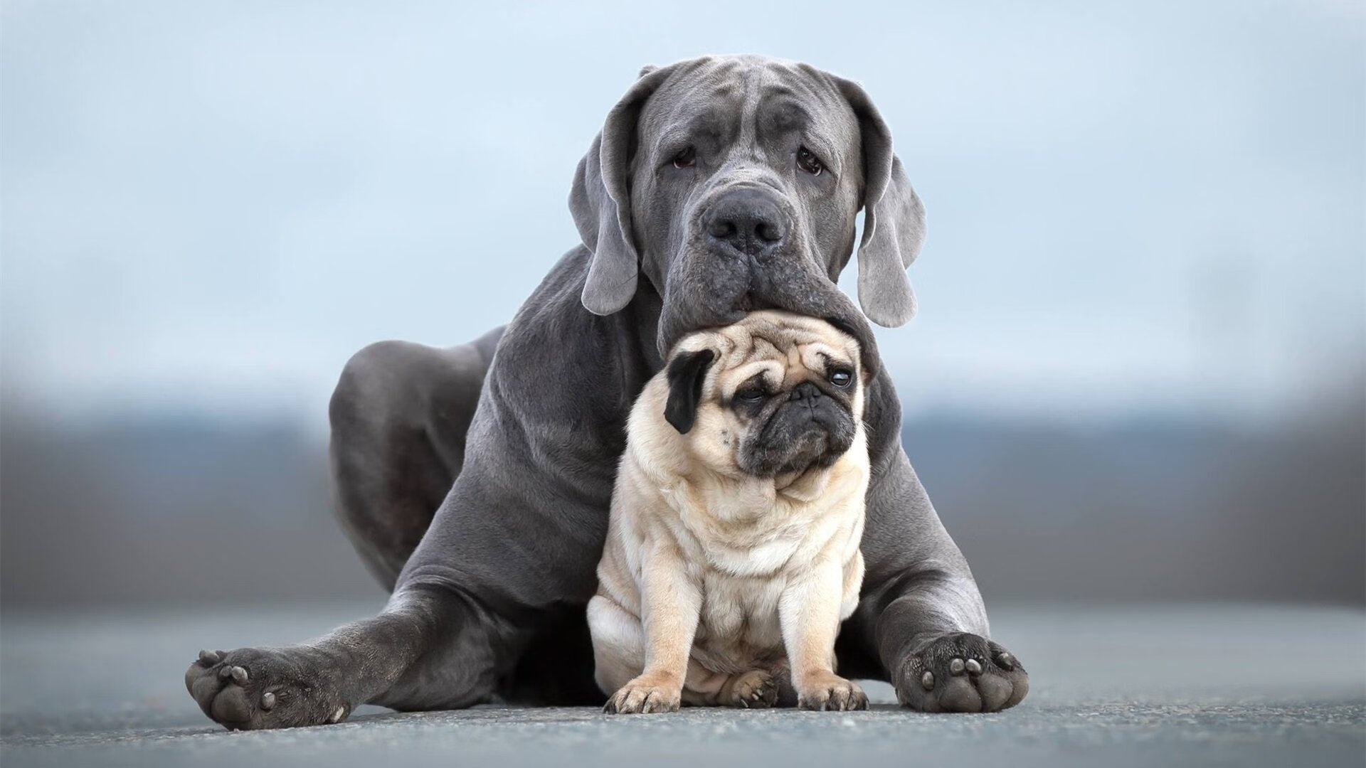 全国青少年森林越野赛青春活力无限，青少年进森林研学