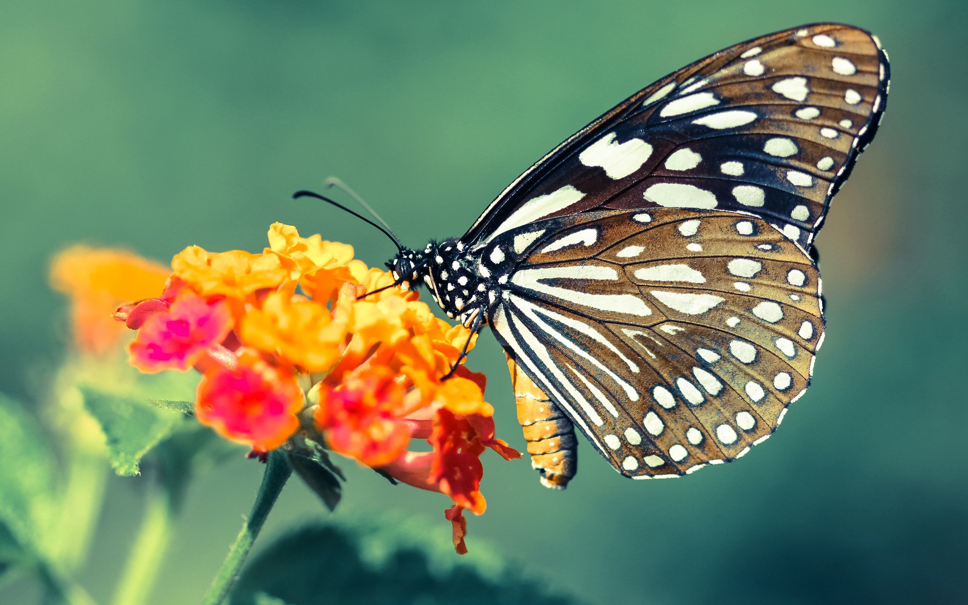 校园智能健身设施建设现状与满意度调研，智慧健身设施