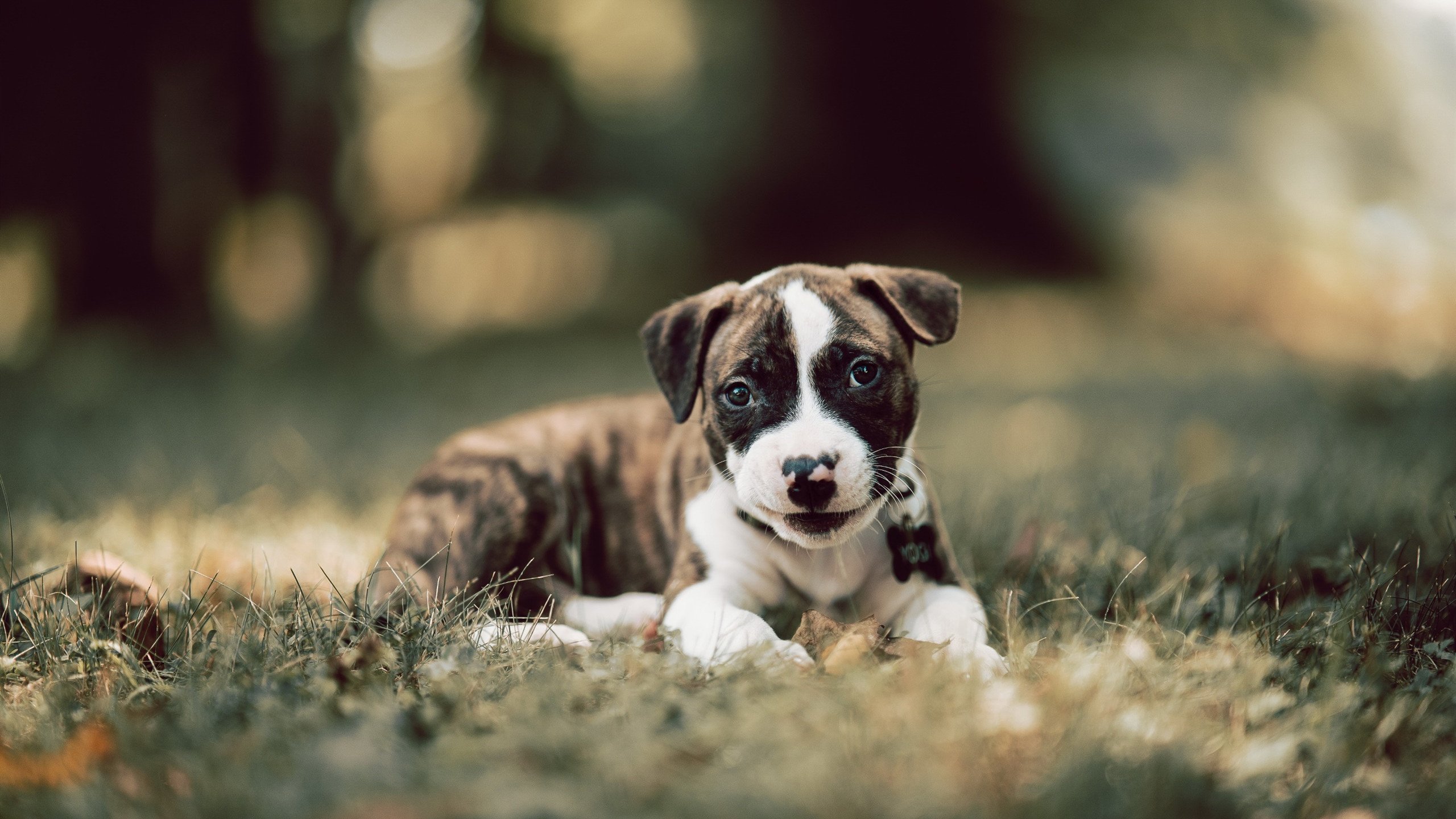 中国男篮加强身体对抗 提高比赛强度，中国男篮体能不够