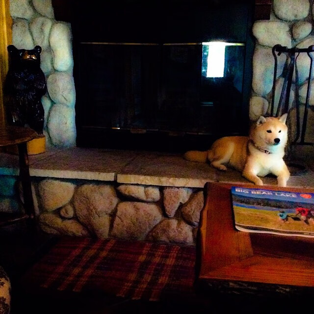 中国男篮积极引入高科技设备辅助训练，中国男篮要求