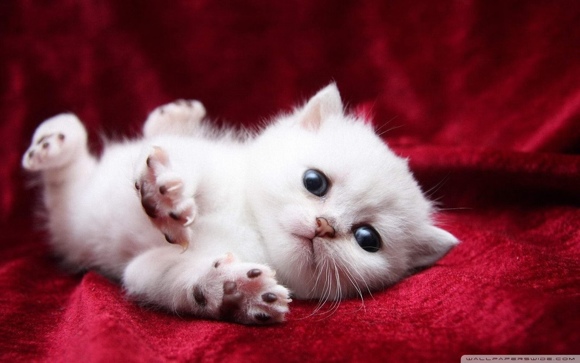 博卡433阵型被拜仁多点突破瓦解，博卡历年球衣