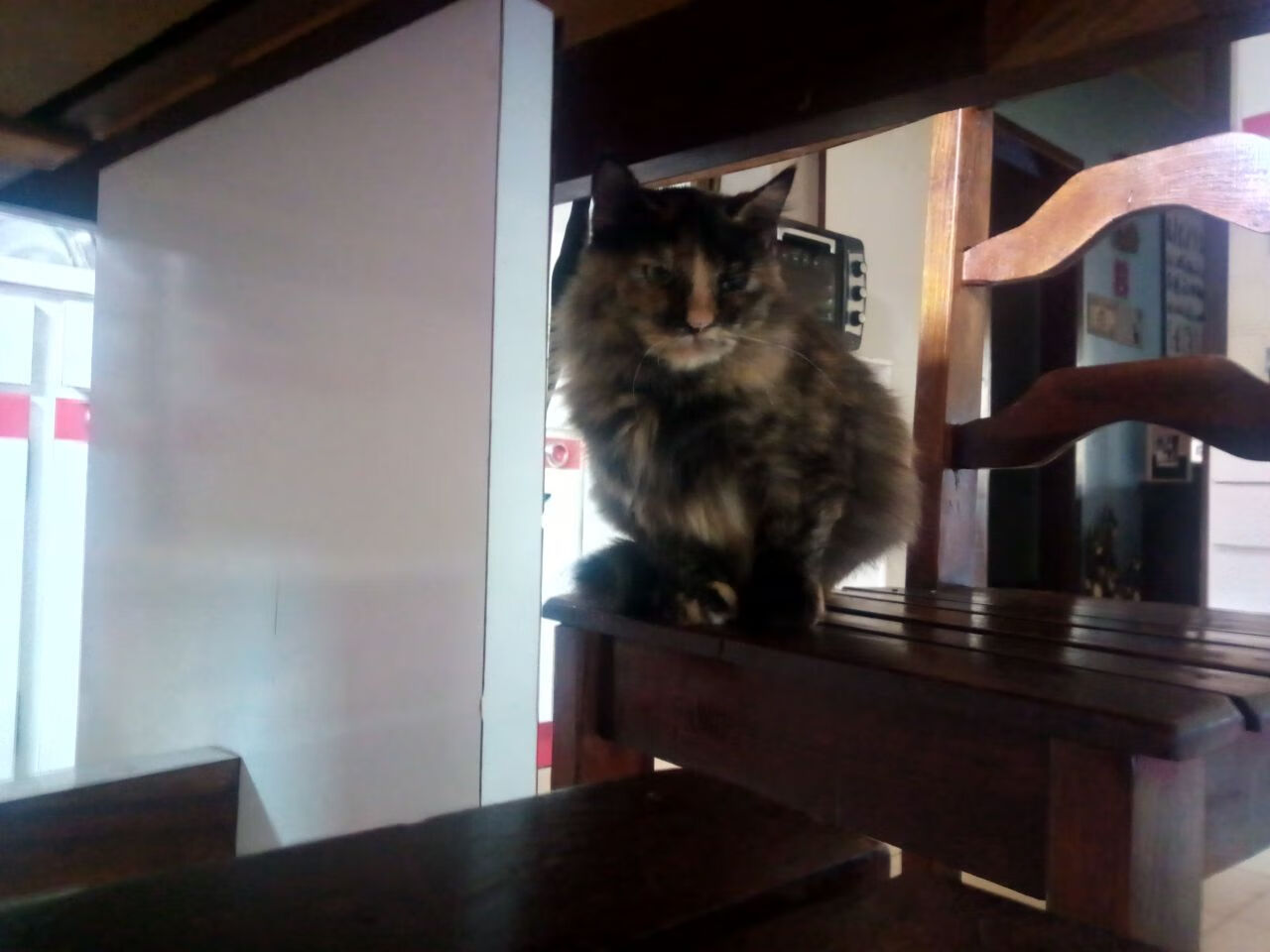 拜仁中场压制破坏比赛节奏取得主动，拜仁中前场