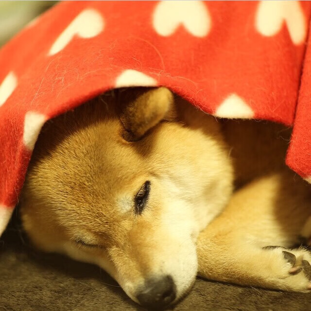 阿森纳流畅传控主导整场比赛走势，阿森纳视频集锦