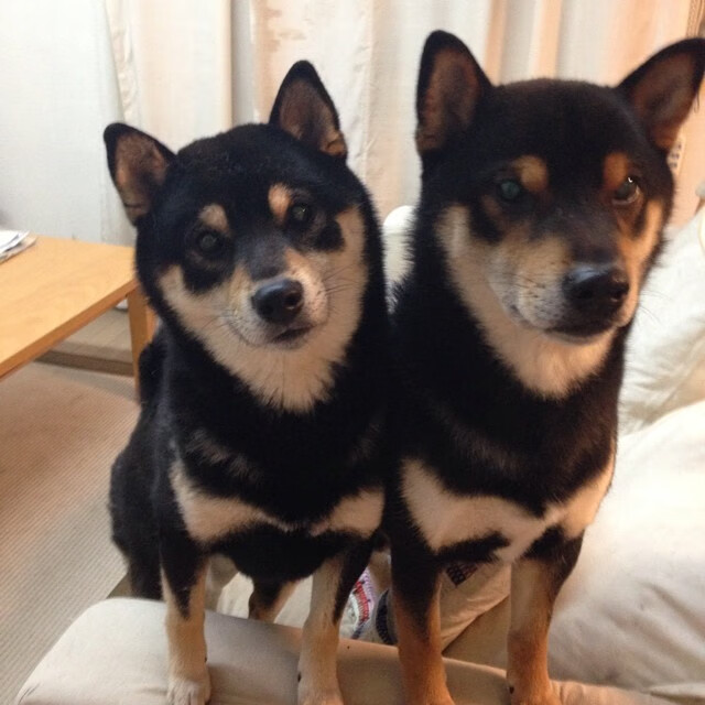 威尔士青年球员涌现，谁将成为橄榄球未来的明星？，威尔士球星是谁