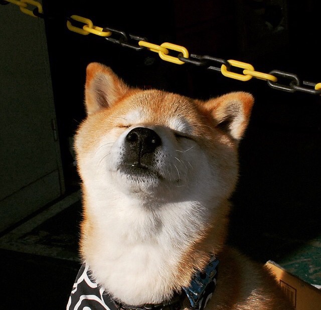 意甲高手对决：精彩配合厘清胜负，意甲高能7秒